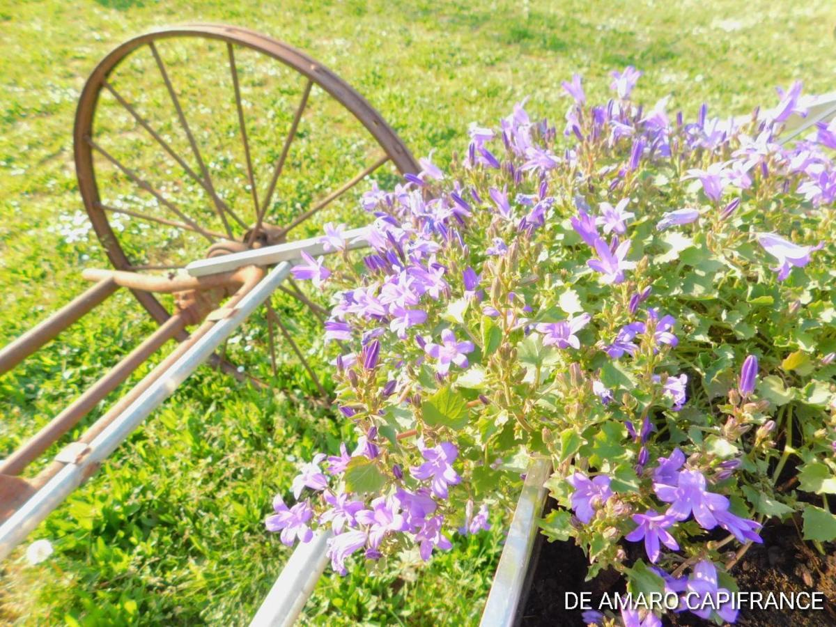 Le Puits De Garival Bed and Breakfast Tour-de-Faure Εξωτερικό φωτογραφία